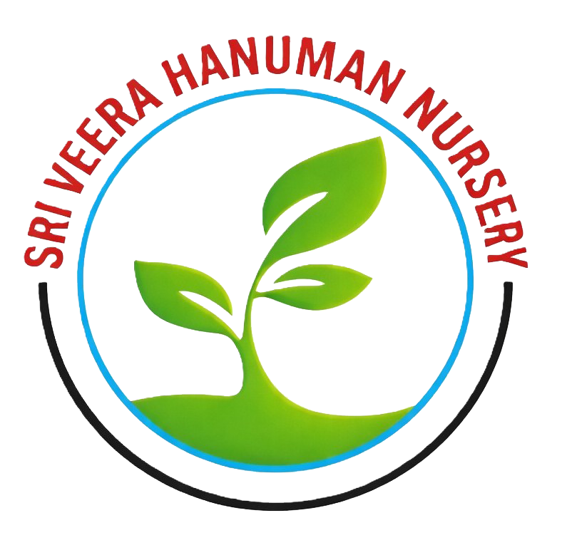 Sri Hanuman Nursery