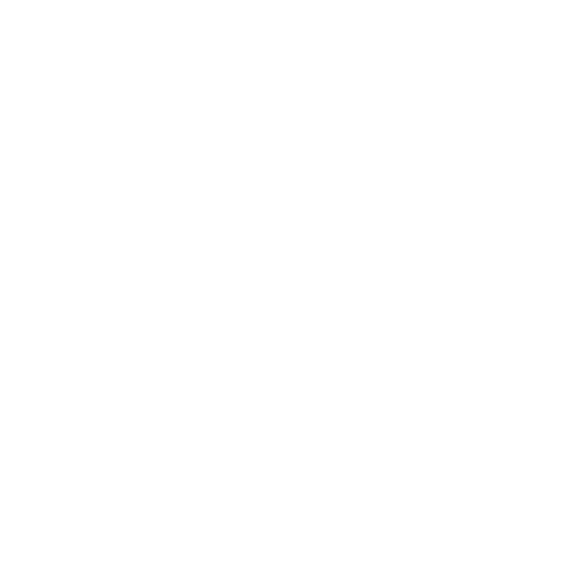 Political Branding